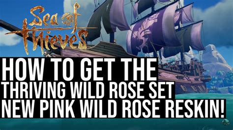 How To Get The Thriving Wild Rose Set Sea Of Thieves Youtube