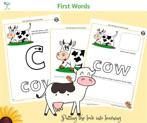 Trace And Write Cow First Words Apple For The Teacher Ltd