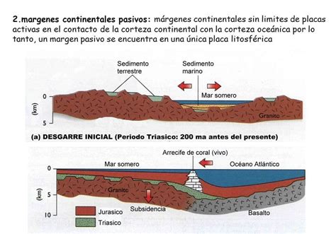 Relieve Oceánico ¿qué Es Características Tipos Y Más