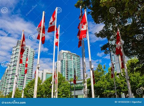 Canadian Flags Against Blue Sky In Bc Stock Photo Image Of Green
