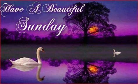 Have A Beautiful Sunday Pictures Photos And Images For Facebook