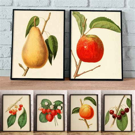 Vintage Fruit Prints Set Of 6 Printable Kitchen Art Apple Etsy