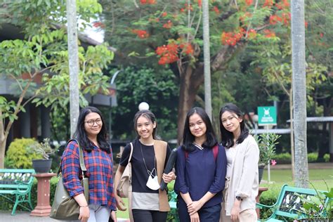 Sarjana (Reguler) – Fakultas Ekonomi dan Bisnis Universitas Indonesia