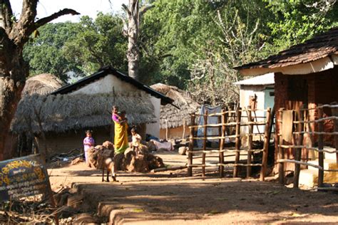 Adivasi Villages Orissa India Adivasi Tour Photos Pictures Orissa 1000