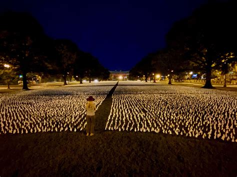 Photos 200000 White Flags Represent The Staggering Loss Of Covid 19