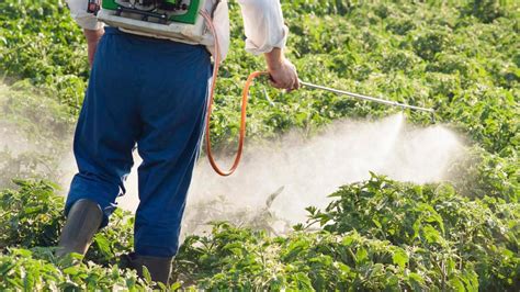 Monsantos Pesticide Unlikely To Cause Cancer Newshub