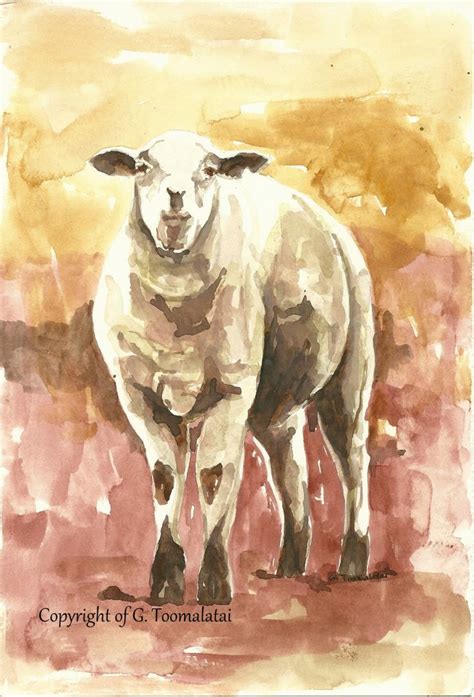 Little Lamb Original Watercolor Painting Little Lamb Art Lamb Etsy
