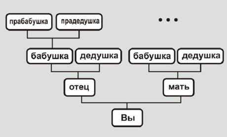 Как составить генеалогическое древо семьи?