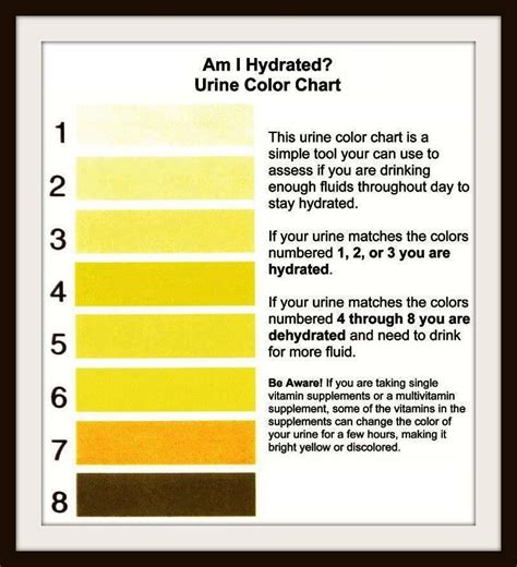 Urine Color Coloring Hydration Chart Learn To Read The Shades Of Your