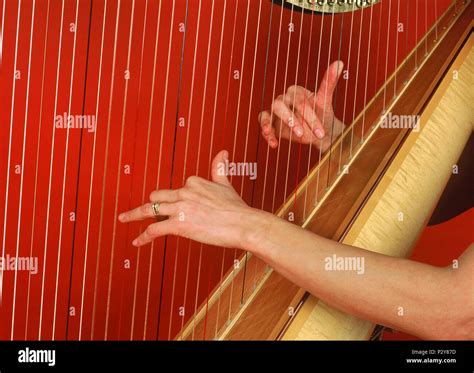 Harpist Playing A Concert Harp Made By Obermeyer Stock Photo Alamy