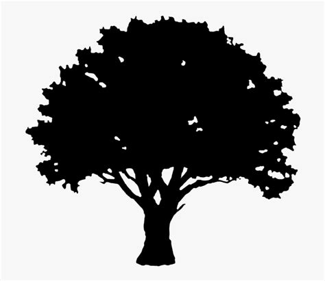 English Oak Tree Silhouette Clip Art Oak Tree Silhouette Svg Free