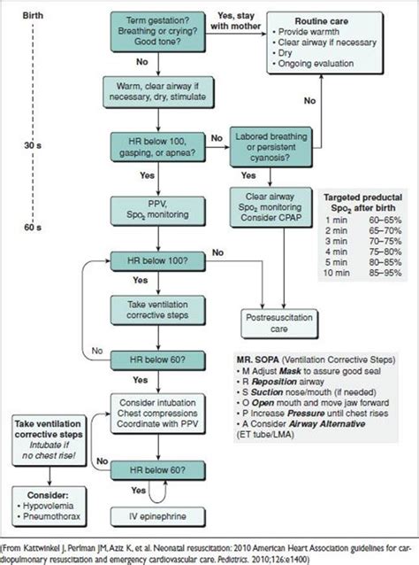Printable Nrp Algorithm Web The 2020 Neonatal Resuscitation Guidelines Are Based On Extensive