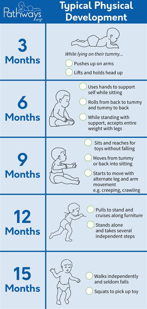Assuring The Best Physical Development Child Development Baby