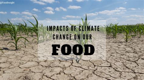 What You Need To Know About Climate Change And Our Food Food Insight