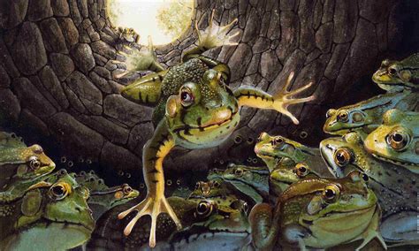 The Frog And The Well Painting By Denny Bond
