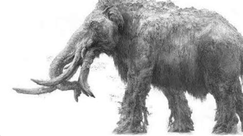 Sound Effects Titanus Behemoth Giant Mammoth Youtube