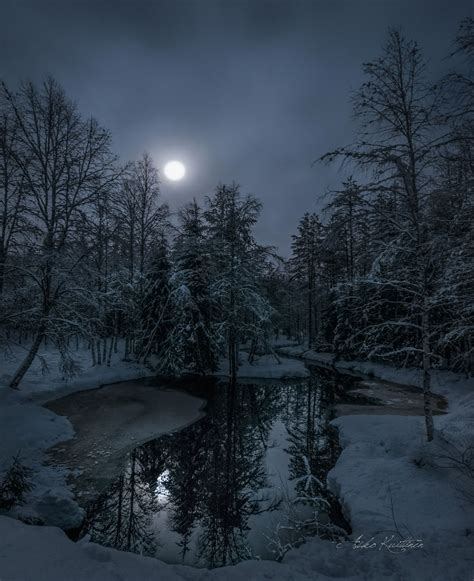 🇫🇮 Kuutamo By Moonlight Finland By Asko Kuittinen ️🌌 Winter Scenery