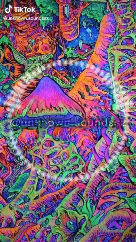 If you're in search of the best acid trip wallpapers, you've come to the right place. Pin by Lyra Henry on Life's a trip Video | Stoner art, Hippie wallpaper, Trippy gif