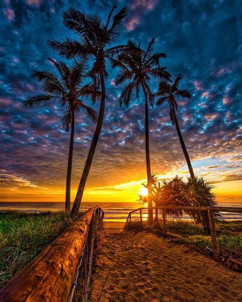 𒈙 Jacolek1981 𒈙 On Twitter Gold Coast 🇦🇺 Sunset 🌅🌴