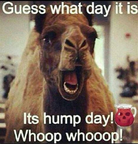 It S Hump Day Wednesday Yay Good Morning Y All Funny Commercials