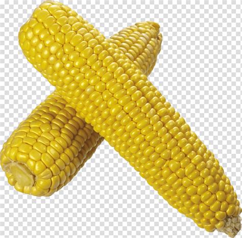 Two Yellow Corn Cobs Corn Duo Transparent Background PNG Clipart HiClipart