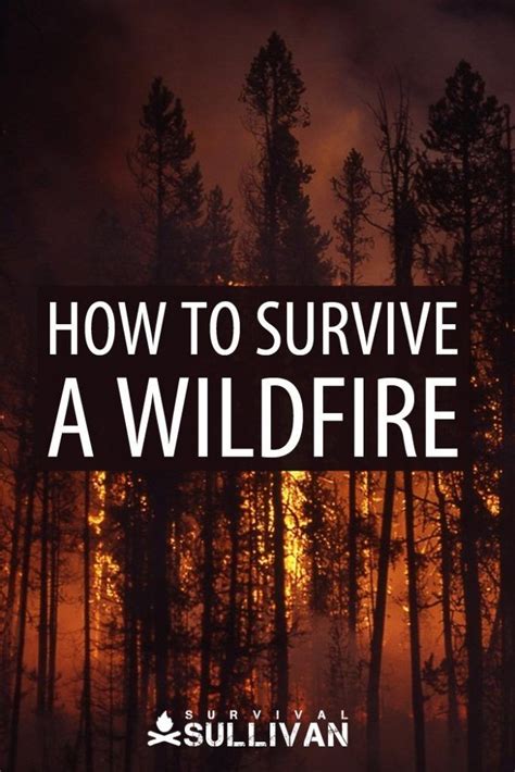 How To Survive A Wildfire In 2020 Survival Natural Disasters