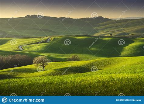 Springtime In Tuscany Rolling Hills And Trees Pienza Italy Stock