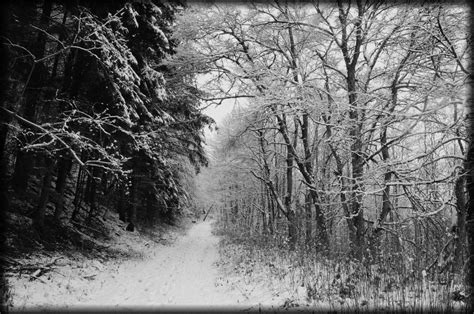 Winterwald Foto And Bild Landschaft Jahreszeiten Winter Bilder Auf
