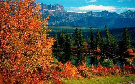Jasper National Park In Autumn
