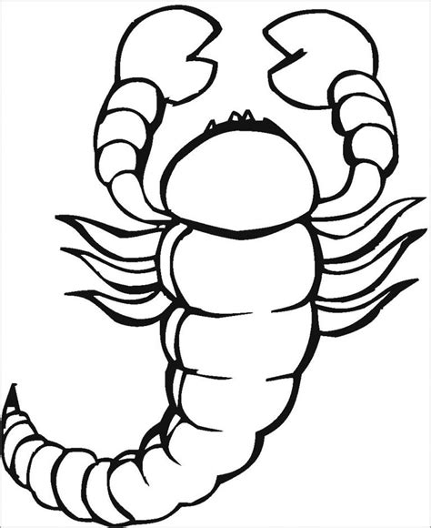 Printable Scorpion Coloring Pages For Kindergarten Coloringbay