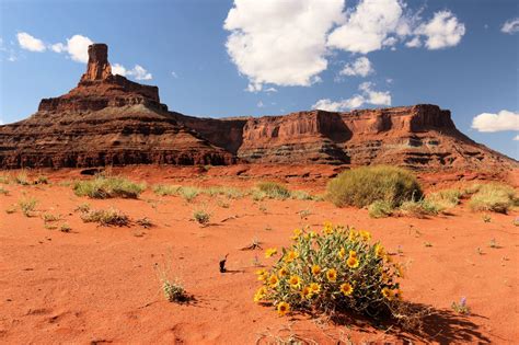It is well worth a visit if you are in the area. Hiking Canyonlands National Park - Kamloops Trails