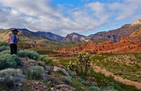 Length 24.2 mielevation gain 1,079 ftroute type point to point. Super Scenic Camping in the Virgin River Gorge