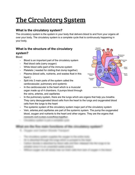 The Circulatory System Biology Year 11 Hsc Thinkswap