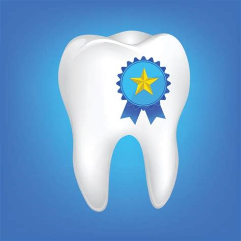 best permanent teeth illustrations royalty free vector graphics and clip art istock