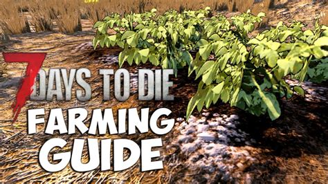 I farmed for one last league with a single character (unadvised, i. 7 Days to Die Farming Guide |Pc, Xbox One, Ps4| 7 Days to Die Farming Guide Tutorial |Alpha 15 ...