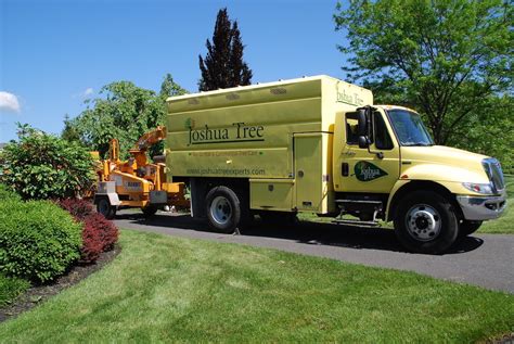 A Review Of The 6 Best Tree Services In Allentown Pa