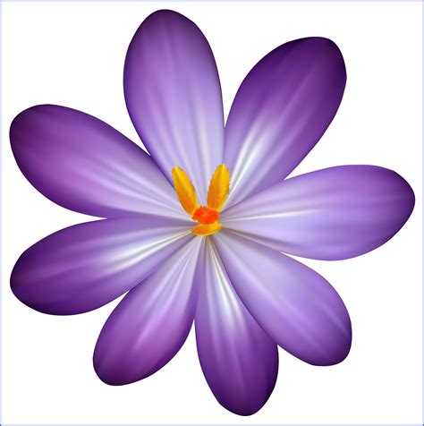 violet flower png png image collection
