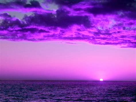 Purple Sunset Photograph By Steed Edwards Fine Art America