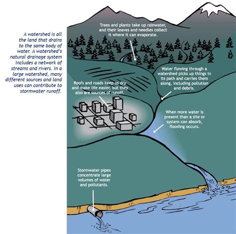 Watershed Illustration Ap Environmental Science Teacher Lesson Plans