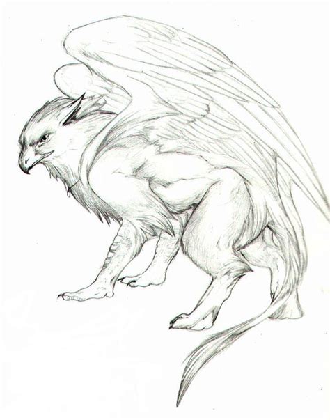 Gryphon Sketch Mythical Creatures Drawings Mythical Birds Creature
