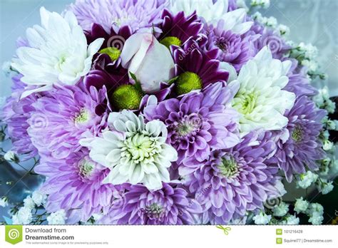 Purple And White Posy Bouquet Of Chrysanthemum Flowers Surrounding A