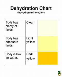 Ppt Dehydration Chart Based On Urine Color Powerpoint Presentation