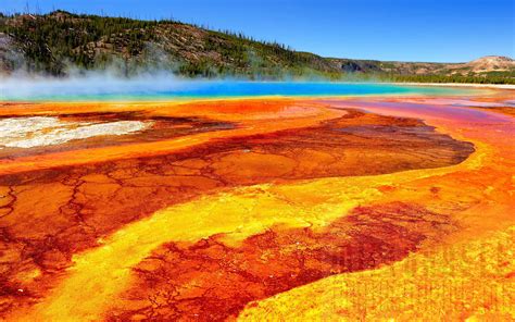 Yellowstone Geyser Hd Wallpaper With Warm Colors For