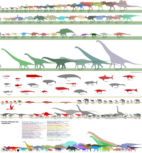 The Evolution Of Dinosaurs In Different Colors And Sizes