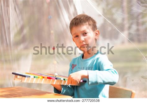 Young Boy Playing Xylophone Stock Photo 277720538 Shutterstock