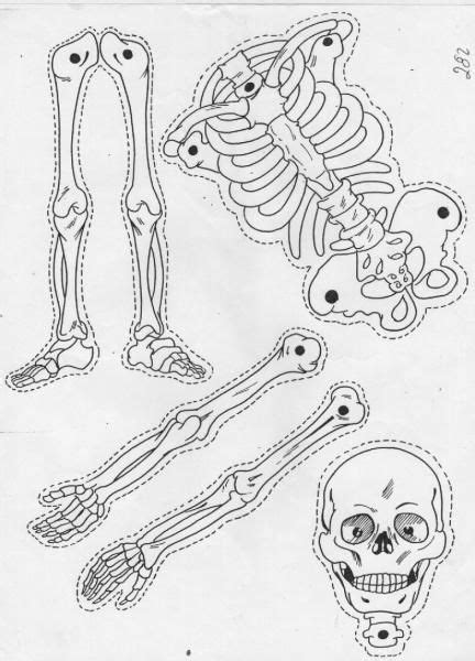 Imágenes Sobre Halloween Esqueleto Para Armar Manualidades Halloween