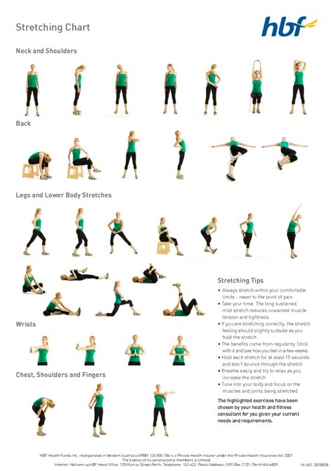 Basic Stretches Diagram Workout Tip 2 Fit Bit Pinterest