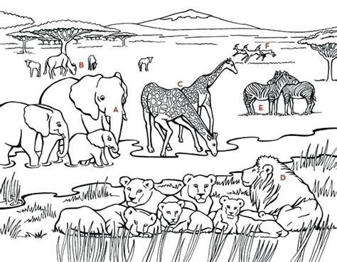 Chessington Safari Free Colouring Pages