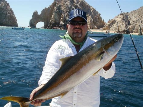 Donde Pescar Pesca En El Arco En Busca Del Jurel De Castilla