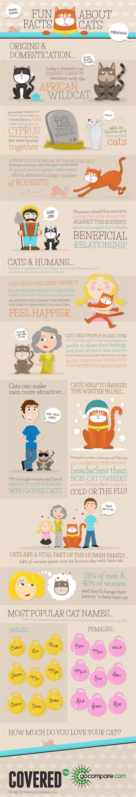 Fun Facts About Cats Infographic